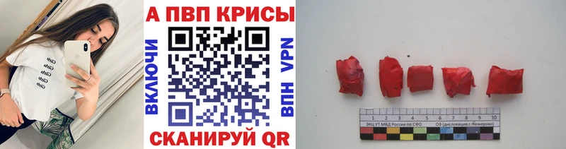 Где продают наркотики Болгар СК  Кокаин 