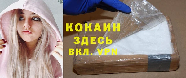 гидра Кодинск
