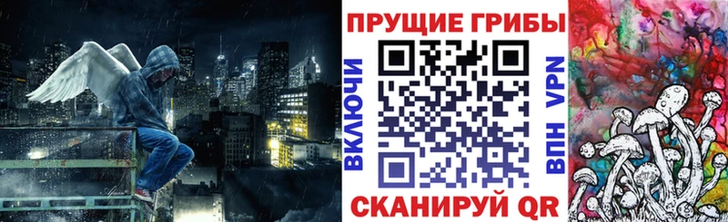 Псилоцибиновые грибы GOLDEN TEACHER Болгар